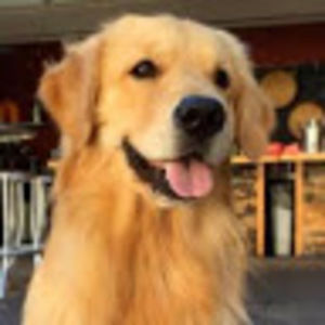 Meet your Posher, Tori